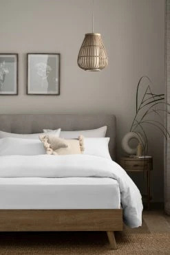 Next 100% Cotton Supersoft Brushed Sheet