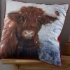 Catherine Lansfield Highland Cow Christmas Cushion -Next shop A58923s