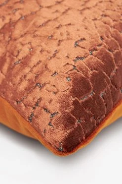 Next Luxurious Cracked Velvet Cushion -Next shop T38 706s4