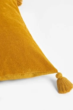 Next Soft Velour Tassel Oblong Cushion -Next shop T51 170s2