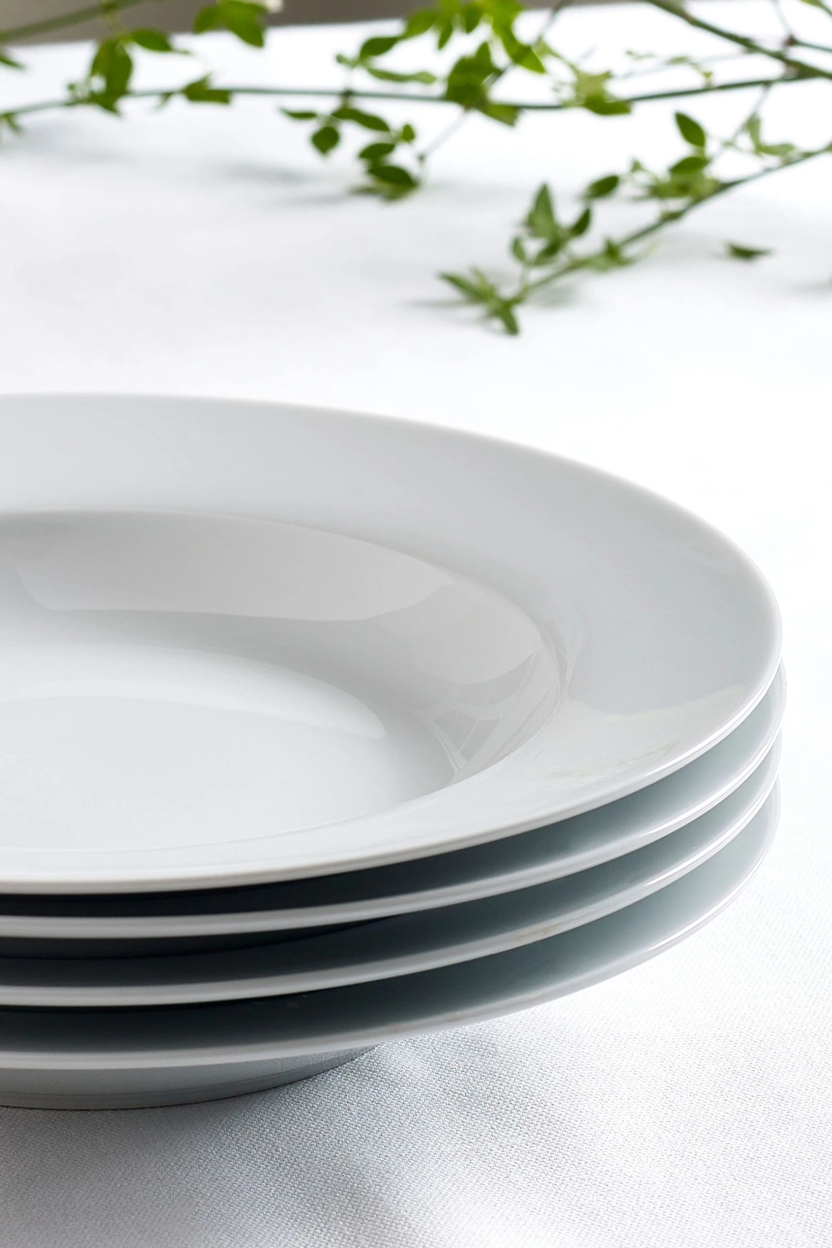Next Nova Set Of 4 Wide Rim Pasta Bowls 4 Next Nova Set Of 4 Wide Rim Pasta Bowls - Image 2